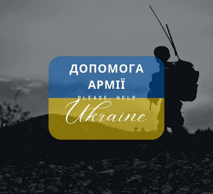 Детальний звіт Волонтерського Легіону